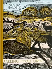 Omslag van Falling in Autumn Part of a Beautiful New Series from Beloved Illustrator and Print-Maker Angela Harding