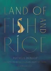 Omslag van Land of Fish and Rice Recipes from the Culinary Heart of China