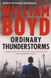Omslag van Ordinary Thunderstorms