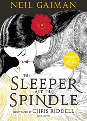 Omslag van The Sleeper and the Spindle