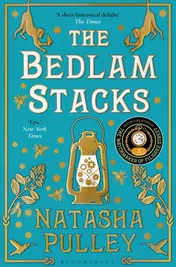 Omslag van The Bedlam Stacks