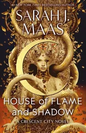 Omslag van House of Flame and Shadow