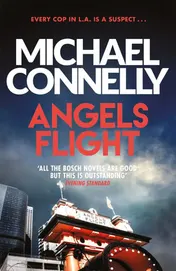 Omslag van Angels Flight