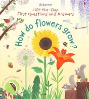 Omslag van First Lift-The-flap Q&a How Do Flowers Grow?