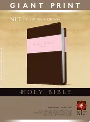 Omslag van Holy Bible, Giant Print NLT