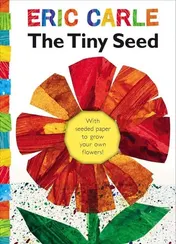 Omslag van The Tiny Seed