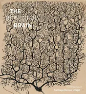 Omslag van Beautiful Brain The Drawings of Santiago Ramon y Cajal