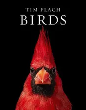 Omslag van Birds