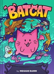 Omslag van Batcat