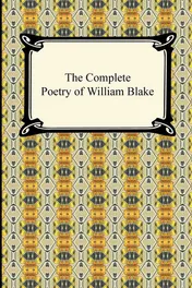 Omslag van The Complete Poetry of William Blake