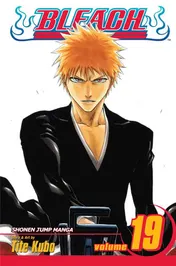 Omslag van Bleach, Vol. 19