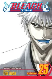 Omslag van Bleach, Vol. 25 No Shaking Throne