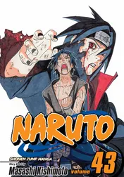 Omslag van Naruto, Vol. 43