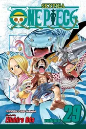 Omslag van One Piece, Vol. 29