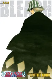 Omslag van Bleach (3-in-1 Edition), Vol. 2