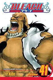 Omslag van Bleach, Vol. 41