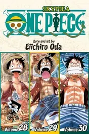 Omslag van One Piece (Omnibus Edition), Vol. 10 Includes vols. 28, 29 & 30