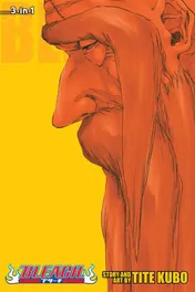 Omslag van Bleach (3-in-1 Edition), Vol. 20