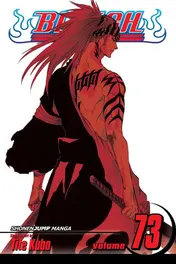 Omslag van Bleach