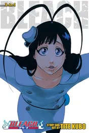 Omslag van Bleach (3-in-1 Edition), Vol. 22