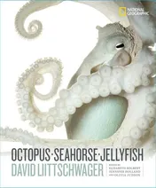 Omslag van Octopus, Seahorse, Jellyfish