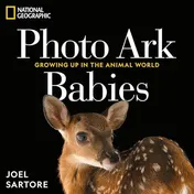 Omslag van National Geographic Photo Ark Babies Growing Up in the Animal World