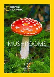 Omslag van Mushrooms 50 Postcards