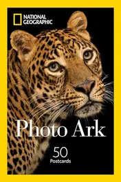 Omslag van Photo Ark 50 Postcards
