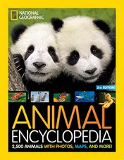 Omslag van National Geographic Kids Animal Encyclopedia, 2nd Edition 2,500 Animals with Photos, Maps, and More!
