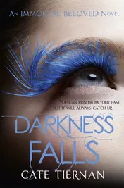 Omslag van Darkness Falls