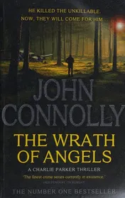 Omslag van The Wrath of Angels