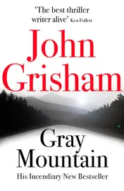 Omslag van Gray Mountain