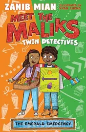 Omslag van Meet the Maliks Twin Detectives