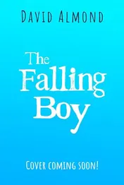 Omslag van The Falling Boy