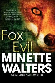 Omslag van Fox Evil