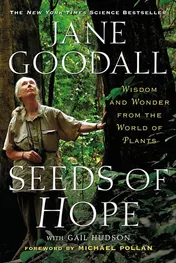Omslag van Seeds of Hope Wisdom and Wonder from the World of Plants