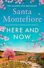 Omslag van Here and Now Evocative, Emotional and Full of Life, the Most Moving Book You'll Read This Year