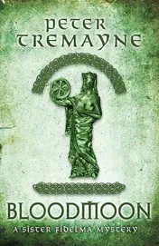 Omslag van Bloodmoon (Sister Fidelma Mysteries Book 29) A Captivating Mystery Set in Medieval Ireland