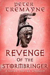 Omslag van Revenge of the Stormbringer Sister Fidelma Mysteries Book 34