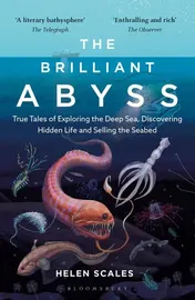Omslag van The Brilliant Abyss True Tales of Exploring the Deep Sea, Discovering Hidden Life and Selling the Seabed