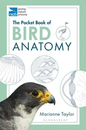 Omslag van The Pocket Book of Bird Anatomy