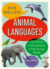 Omslag van Animal Languages The Secret Conversations of the Living World