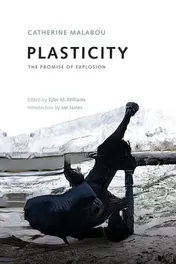 Omslag van Plasticity The Promise of Explosion
