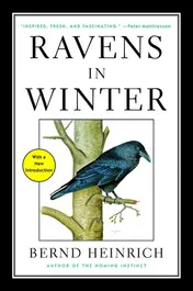 Omslag van Ravens in Winter