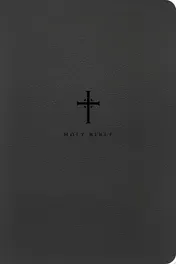 Omslag van NLT Large Print Premium Value Thinline Bible, Filament Enabled (Leatherlike, Black Cross)