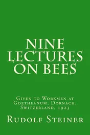Omslag van Nine Lectures on Bees