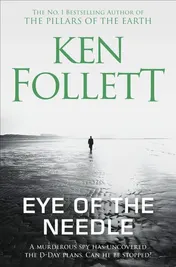 Omslag van Eye of the Needle
