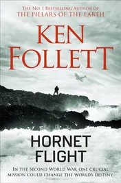 Omslag van Hornet Flight