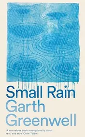 Omslag van Small Rain