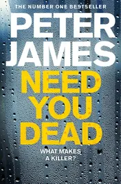 Omslag van Need You Dead